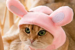 Aksesoris Lucu untuk Kucing dan Anjing