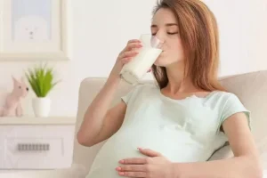 Mengonsumsi Susu Sapi Murni bagi Ibu Hamil
